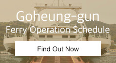 Yeosu Ferry Operation Schedule